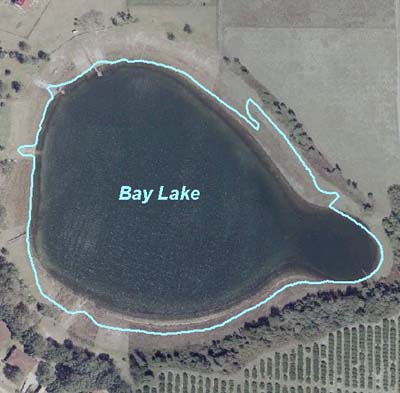 Bay Lake (near Eustis)