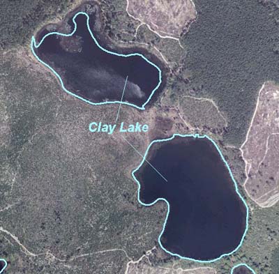 Clay Lake (in Ocala National Forest)