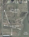 Apopka Marsh Canal