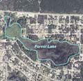 Forest Lake